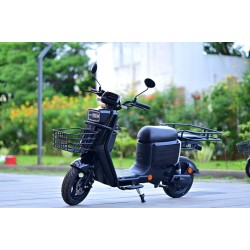 ელექტრო სკუტერი HUALONG TDT15Z