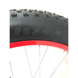 ელექტრო ველოსიპედი Fatbike Danis