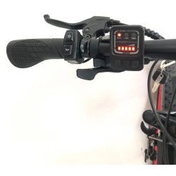 ელექტრო ველოსიპედი Fatbike Danis