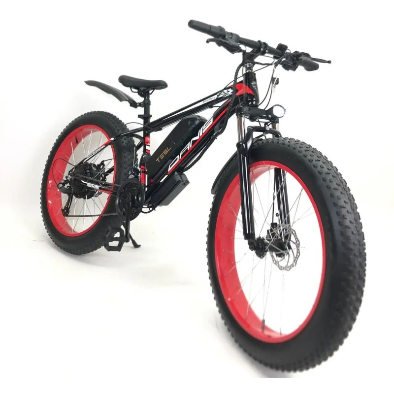 ელექტრო ველოსიპედი Fatbike Danis