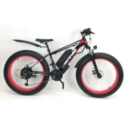 ელექტრო ველოსიპედი Fatbike Danis