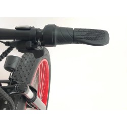 ელექტრო ველოსიპედი Fatbike Danis