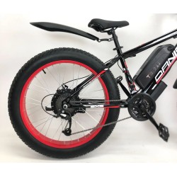 ელექტრო ველოსიპედი Fatbike Danis
