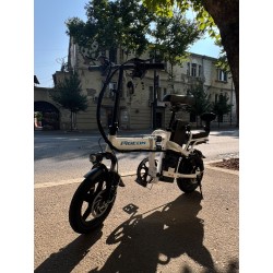 ელექტრო ველოსიპედი Pigeon