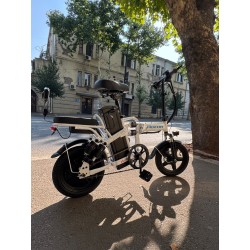 ელექტრო ველოსიპედი Pigeon
