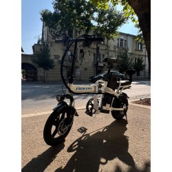 ელექტრო ველოსიპედი Pigeon