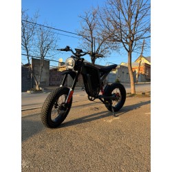 ელექტრო ველოსიპედი EKX X21