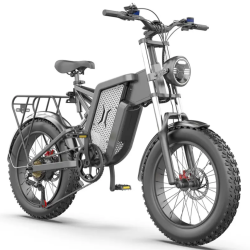 ელექტრო ველოსიპედი EKX X20