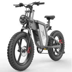 ელექტრო ველოსიპედი EKX X20