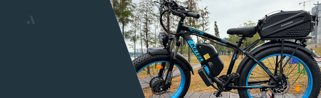 ელექტრო ველოსიპედები